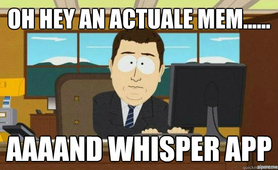 Oh hey an actuale mem...... AAAAND Whisper app  aaaand its gone