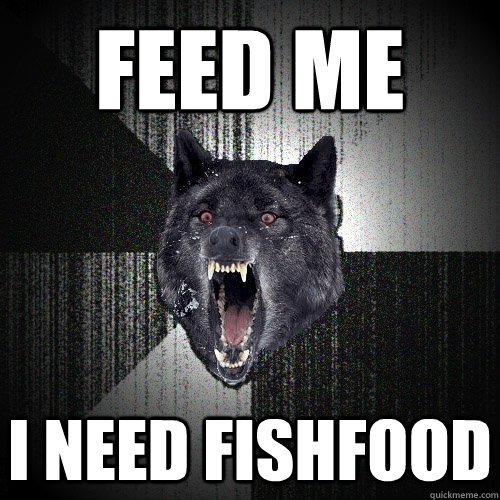 FEED ME I NEED FISHFOOD  Insanity Wolf