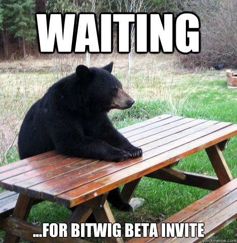 waiting ...for Bitwig beta invite  waiting bear