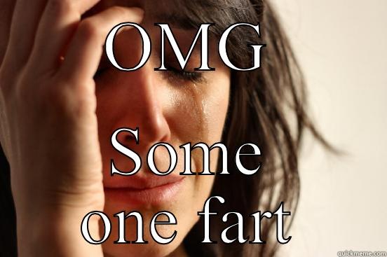 OMG SOME ONE FART First World Problems