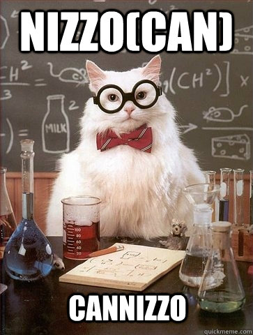 nizzo(can) cannizzo  Chemistry Cat