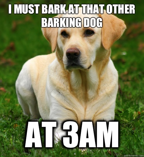 I must bark at that other barking dog At 3am  
