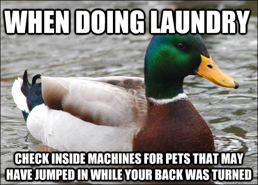 When doing laundry check inside machines for pets that may have jumped in while your back was turned  Actual Advice Mallard