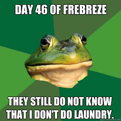 Day 46 of frebreze They still do not know that I don't do laundry.  Foul Bachelor Frog