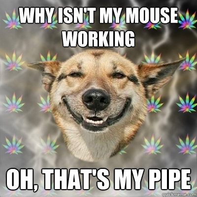why isn't my mouse working oh, That's my pipe  Stoner Dog