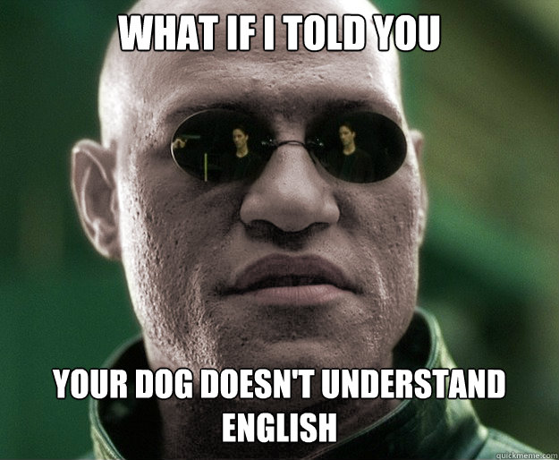 What if i told you your dog doesn't understand english  White Morphius
