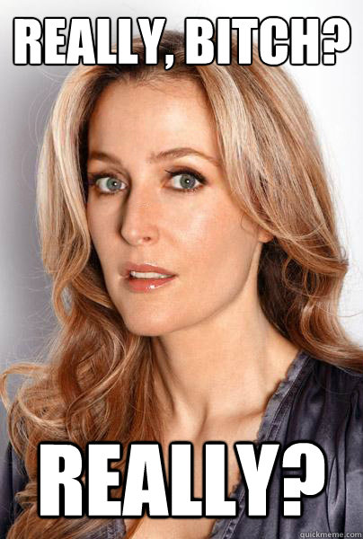 REALLY, BITCH? REALLY?  gillian anderson is not amused