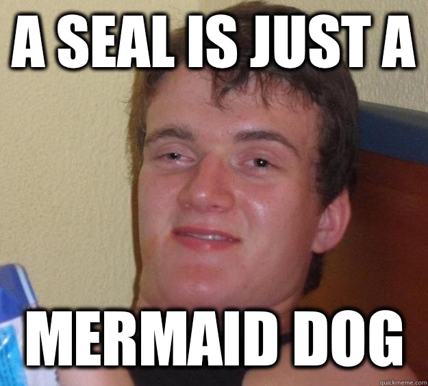 A seal is just a Mermaid dog  - A seal is just a Mermaid dog   10 Guy
