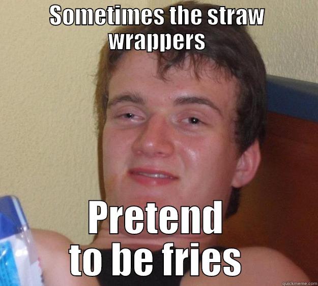 SOMETIMES THE STRAW WRAPPERS PRETEND TO BE FRIES 10 Guy