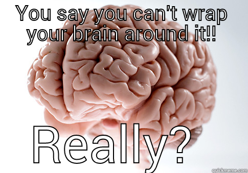 YOU SAY YOU CAN'T WRAP YOUR BRAIN AROUND IT!! REALLY?  Scumbag Brain