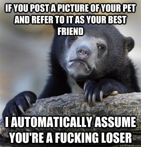 if you post a picture of your pet and refer to it as your best friend I automatically assume you're a fucking loser - if you post a picture of your pet and refer to it as your best friend I automatically assume you're a fucking loser  Confession Bear