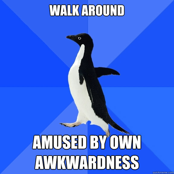 Walk around amused by own awkwardness  Socially Awkward Penguin