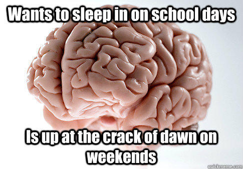 Wants to sleep in on school days Is up at the crack of dawn on weekends  - Wants to sleep in on school days Is up at the crack of dawn on weekends   Scumbag Brain