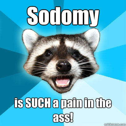 Sodomy is SUCH a pain in the ass!  Lame Pun Coon