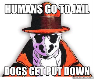 Humans Go To Jail Dogs get put down  