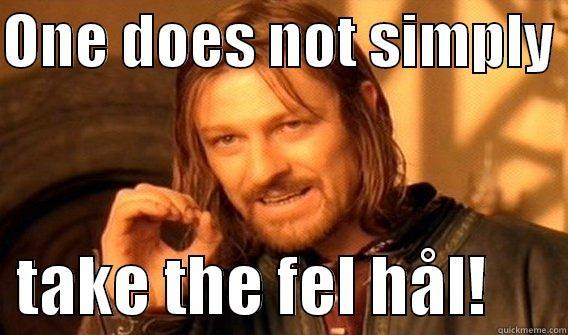 ONE DOES NOT SIMPLY    TAKE THE FEL HÅL!      One Does Not Simply