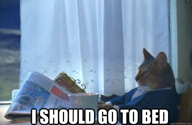 I should go to bed  Sophisticated Cat