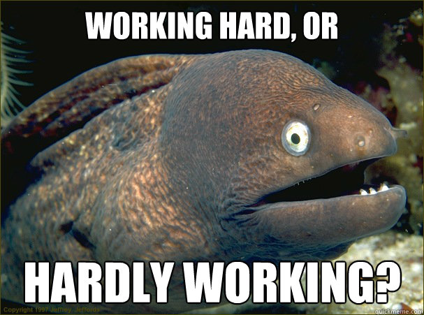 Working Hard, Or Hardly working?  Bad Joke Eel