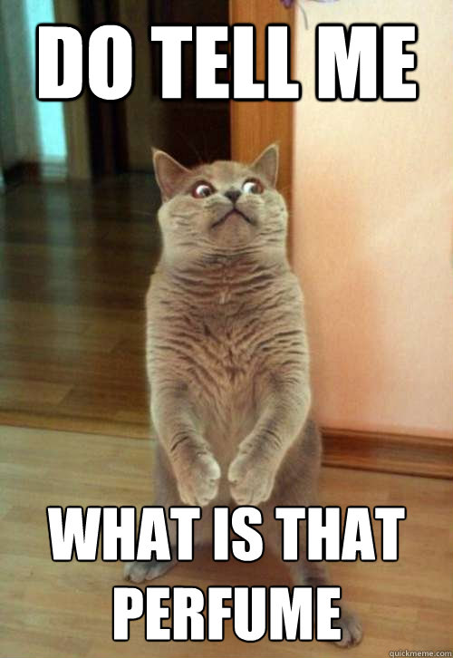 do tell me what is that perfume - do tell me what is that perfume  Horrorcat