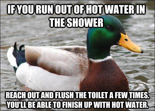 If you run out of hot water in the shower Reach out and flush the toilet a few times. You'll be able to finish up with hot water. - If you run out of hot water in the shower Reach out and flush the toilet a few times. You'll be able to finish up with hot water.  Actual Advice Mallard