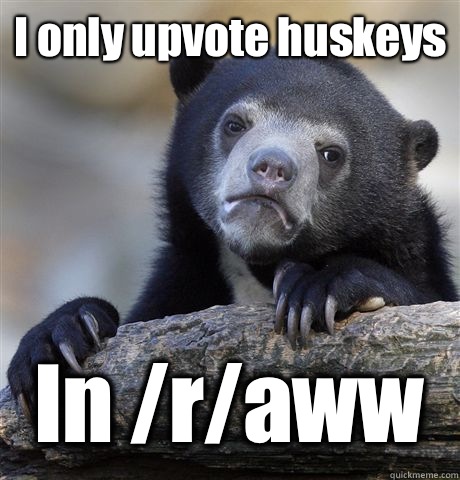 I only upvote huskeys  In /r/aww  Confession Bear