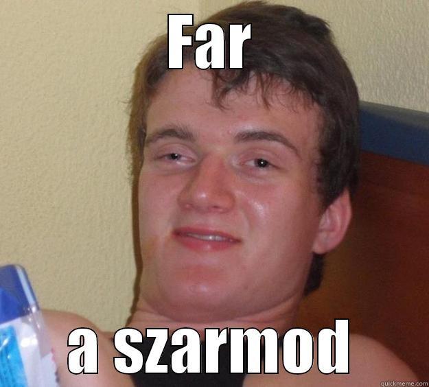 far a szarmod - FAR A SZARMOD 10 Guy