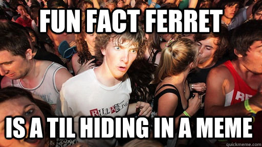 Fun fact ferret is a til hiding in a meme  Sudden Clarity Clarence
