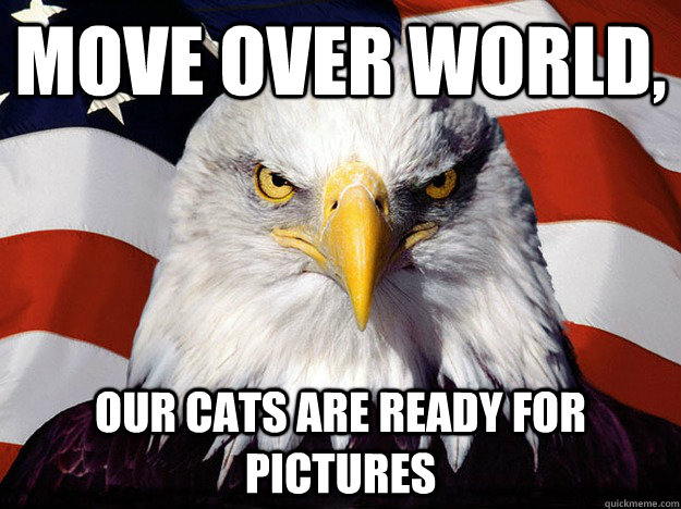 move over world, our cats are ready for pictures  Evil American Eagle
