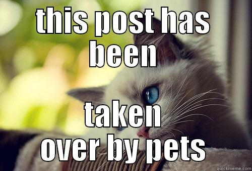 THIS POST HAS BEEN TAKEN OVER BY PETS First World Problems Cat
