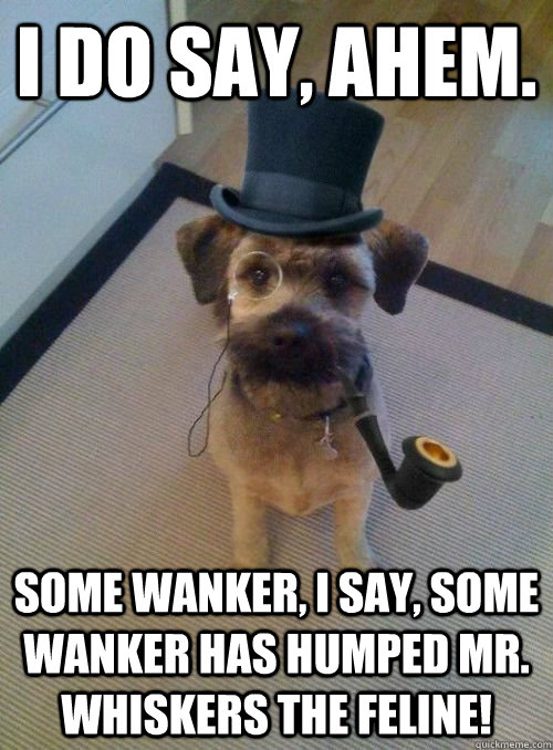 i do say, ahem. some wanker, i say, some wanker has humped mr. whiskers the feline! - i do say, ahem. some wanker, i say, some wanker has humped mr. whiskers the feline!  Gentleman Dog