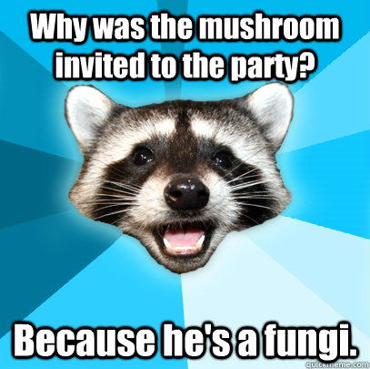 Why was the mushroom invited to the party? Because he's a fungi. - Why was the mushroom invited to the party? Because he's a fungi.  Lame Pun Coon