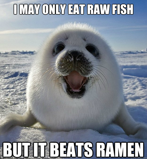 I MAY ONLY EAT RAW FISH BUT IT BEATS RAMEN  Easily Pleased Seal