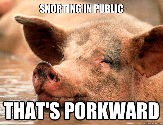 snorting in public that's Porkward  Stoner Pig