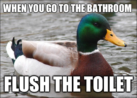 When you go to the bathroom Flush the toilet  Actual Advice Mallard