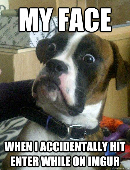 My face When i accidentally hit Enter while on ImGUR - My face When i accidentally hit Enter while on ImGUR  Shocked Dog