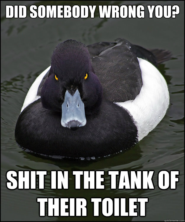 Did somebody wrong you? Shit in the tank of their toilet - Did somebody wrong you? Shit in the tank of their toilet  Revenge Duck