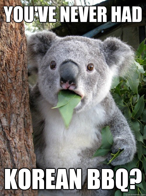 You've never had korean bbq? - You've never had korean bbq?  Surprised Koala