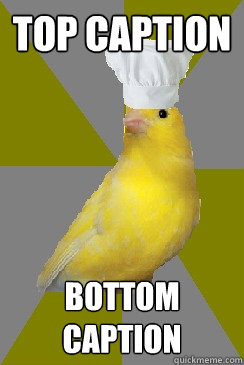 Top caption Bottom caption - Top caption Bottom caption  Culinary Canary