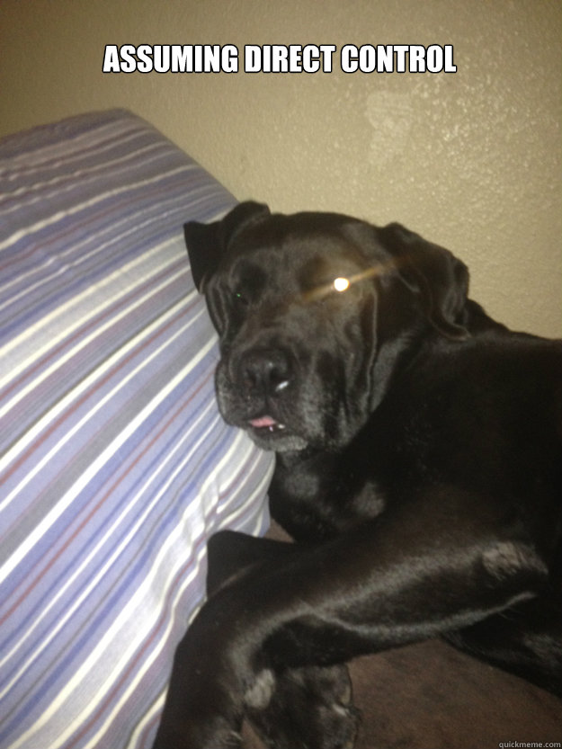 ASSUMING DIRECT CONTROL  - ASSUMING DIRECT CONTROL   Misc