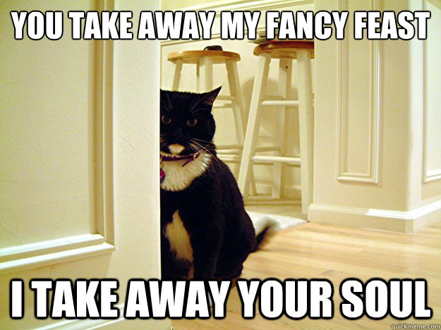 You take away my fancy feast I take away your soul  Serial Killer Cat