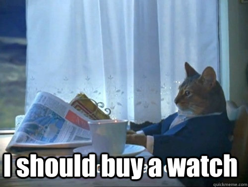  I should buy a watch  Rich cat is rich