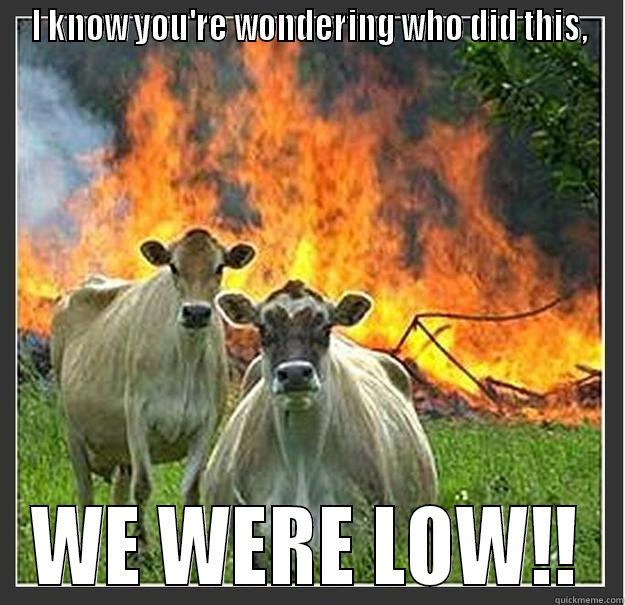I KNOW YOU'RE WONDERING WHO DID THIS, WE WERE LOW!! Evil cows