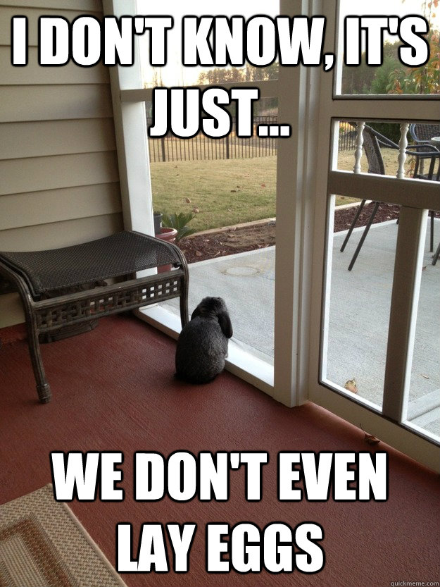 I don't know, It's just... We don't even lay eggs  Facing Reality Bunny