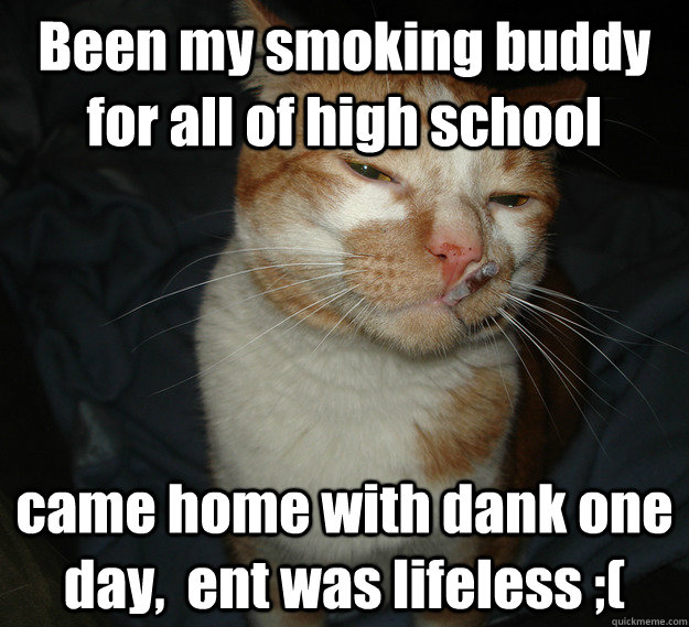 Been my smoking buddy for all of high school came home with dank one day,  ent was lifeless ;(  Cool Cat Craig