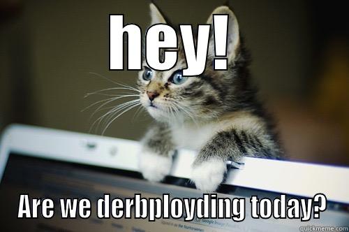 Derbploy Cat - HEY! ARE WE DERBPLOYDING TODAY? Business Cat