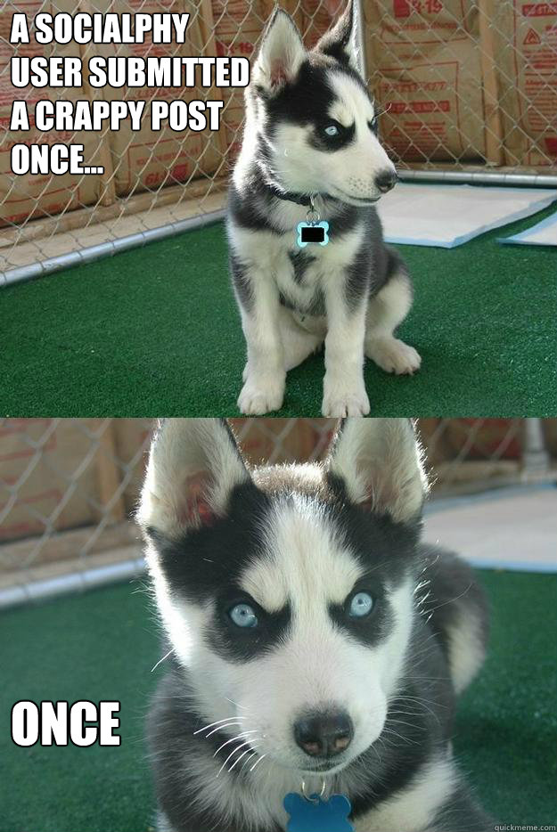 A socialphy user submitted  a crappy post once... once  Insanity puppy