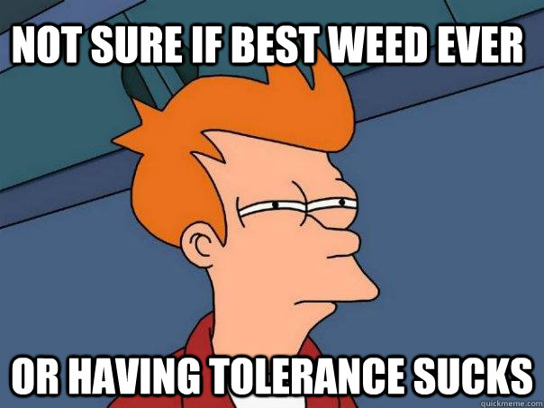 Not Sure if best weed ever or having tolerance sucks - Not Sure if best weed ever or having tolerance sucks  Futurama Fry