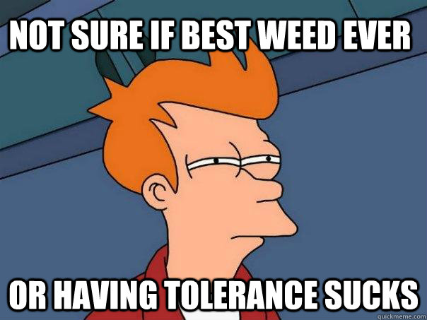 Not Sure if best weed ever or having tolerance sucks  Futurama Fry