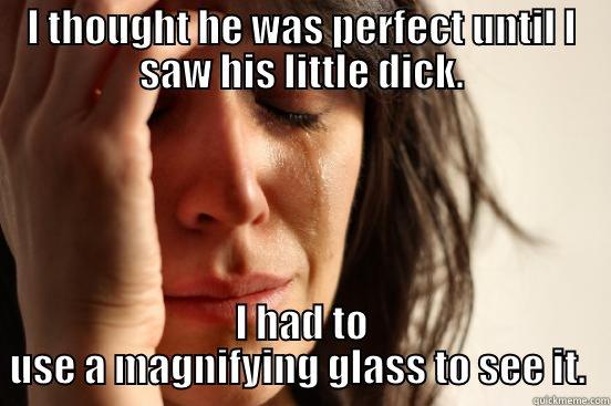 I THOUGHT HE WAS PERFECT UNTIL I SAW HIS LITTLE DICK. I HAD TO USE A MAGNIFYING GLASS TO SEE IT.  First World Problems