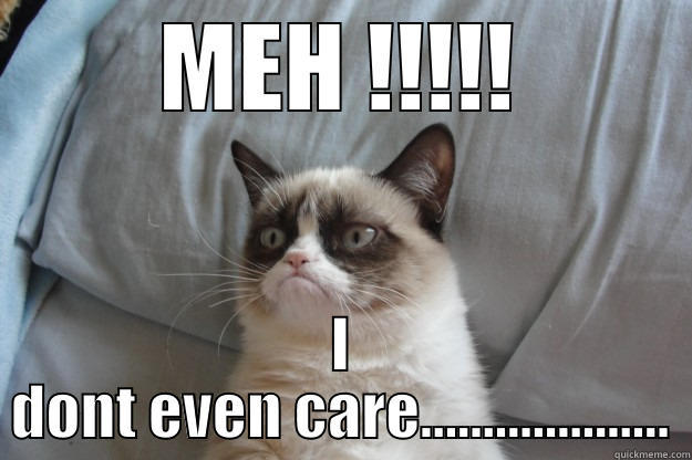 Jealous cat - MEH !!!!! I DONT EVEN CARE.................... Grumpy Cat